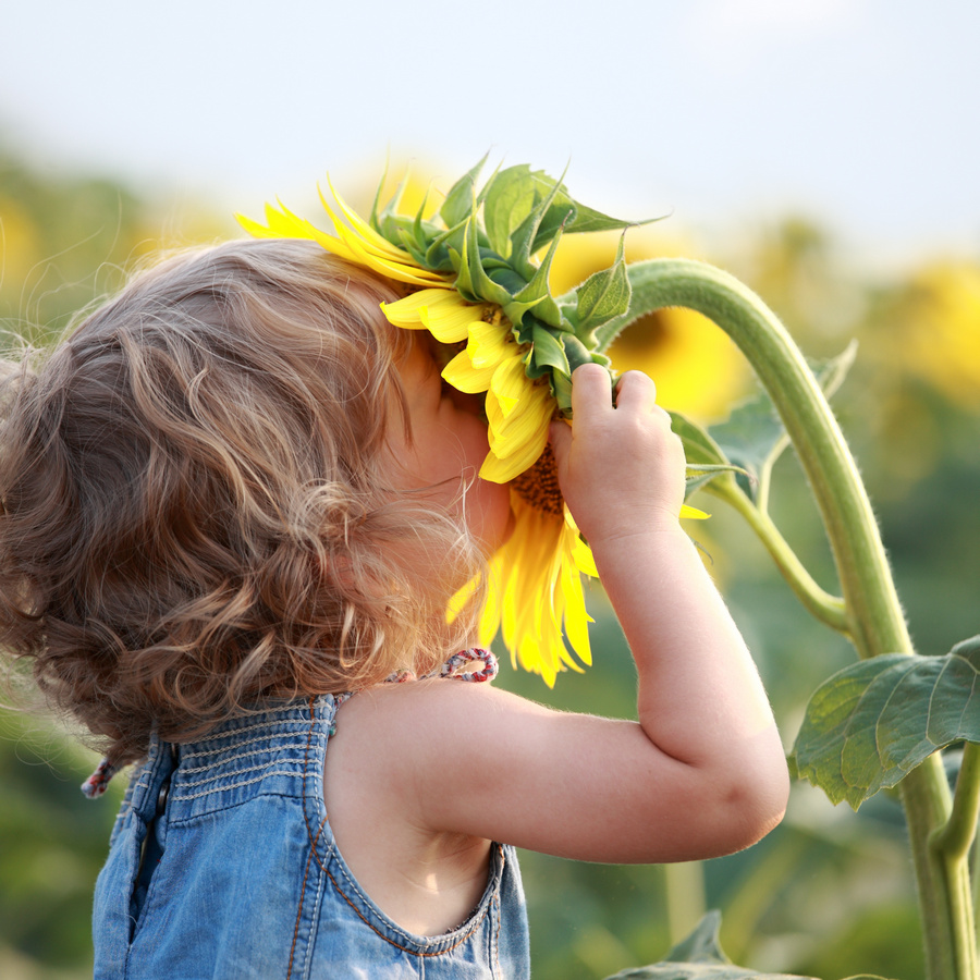 Les dangers du manque de nature pour les enfants